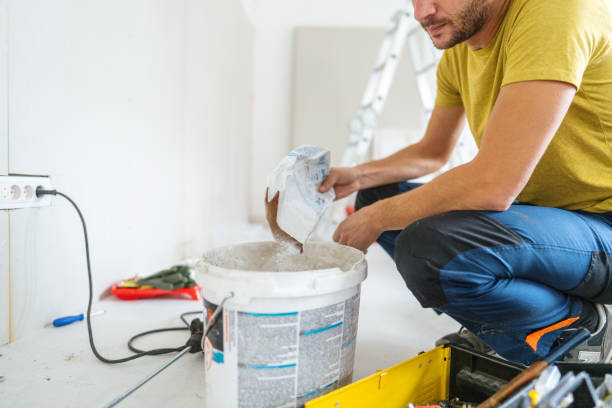 Best Mold Damage Restoration  in Weston, FL