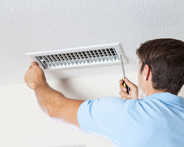 Reliable Weston, FL Mold Removal Solutions