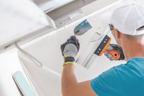 Best Mold Removal for HVAC Installations  in Weston, FL